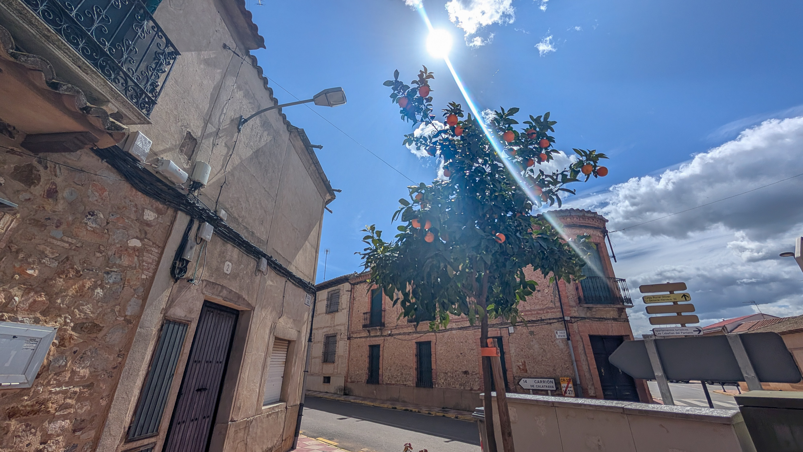 Der erste Orangenbaum der Reise – in Fernán Caballero